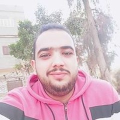 محمد عاطف أبو عمرو