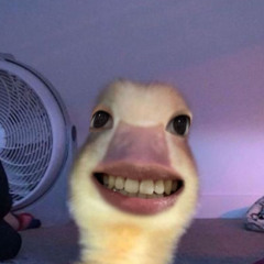 정하규