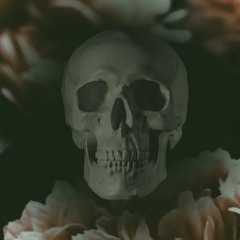 seizer