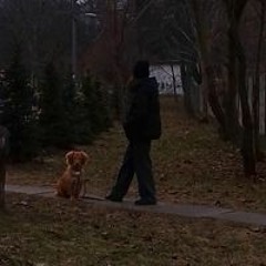 сеня