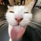 Piwott
