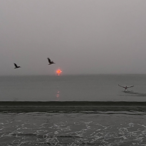 Stream FishMonger music Listen to songs, albums, playlists for free