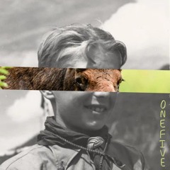 mooseonefive