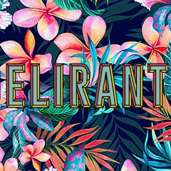 Delirante Club de Baile