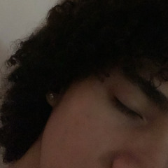 LAV