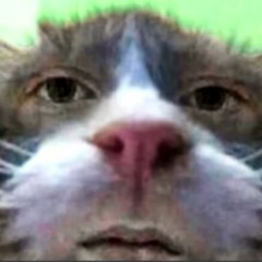 F3L1