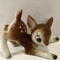 ☆funnifawn☆
