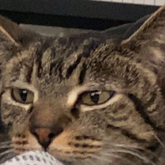 —