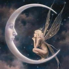 • moon fairy •