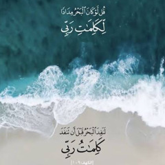 Rasha Magdy 26