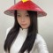 Mai Linh