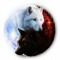 Nova_Wolf