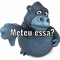 oaolsas