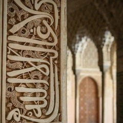 حازم أسامه