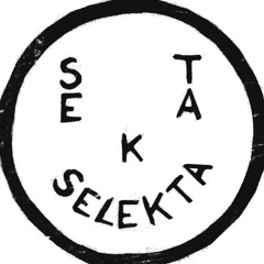 Sekta Selekta
