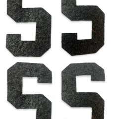 Selfless Service Sound System