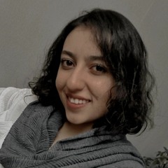 maryam bidhandi
