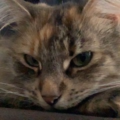 Glitchalk (MURDER DRONES IZ DA BEST)