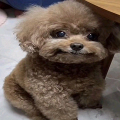 ;*