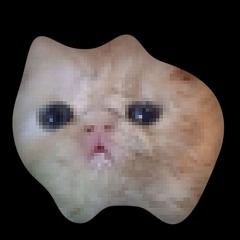 Kirbo