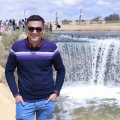 Ahmed Wali