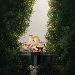 Mohammed