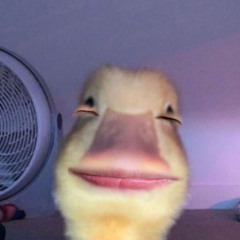 Dũng Đinh