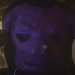 Pigbert