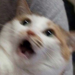 청명