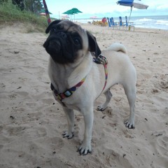 Beto Franson