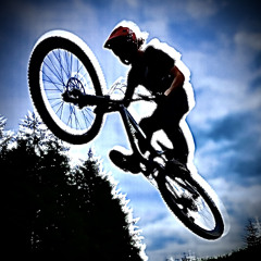 the_finny__