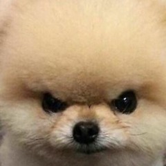 Jonas Van den Heuvel