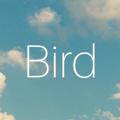 Bird’s avatar