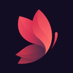 Butterfly Music