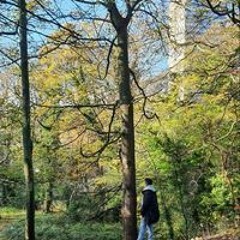 Mostafa Mohmmed Shakir