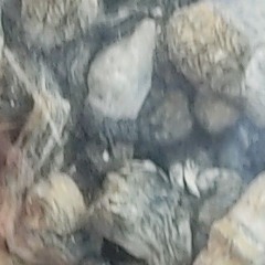 mmlimaykel