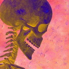 Bare Bones