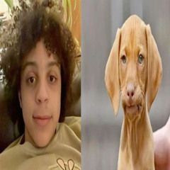 syncoxyde