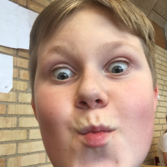 Daniel Laurids Hansen