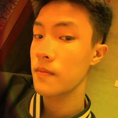 Vũ Huy Anh