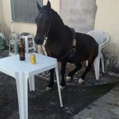 monik3ta