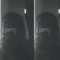 fien.444.sedik