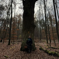 nachtschattengewächs
