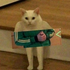 _xyze