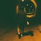 The Last Person