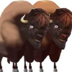 BisonLover