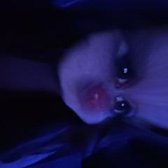 sn_lili