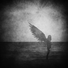 Edwin_Steele