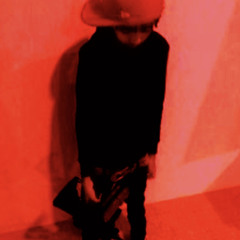 VIPEX