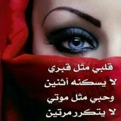 زيادزلزال زلزال زلزال زلزال